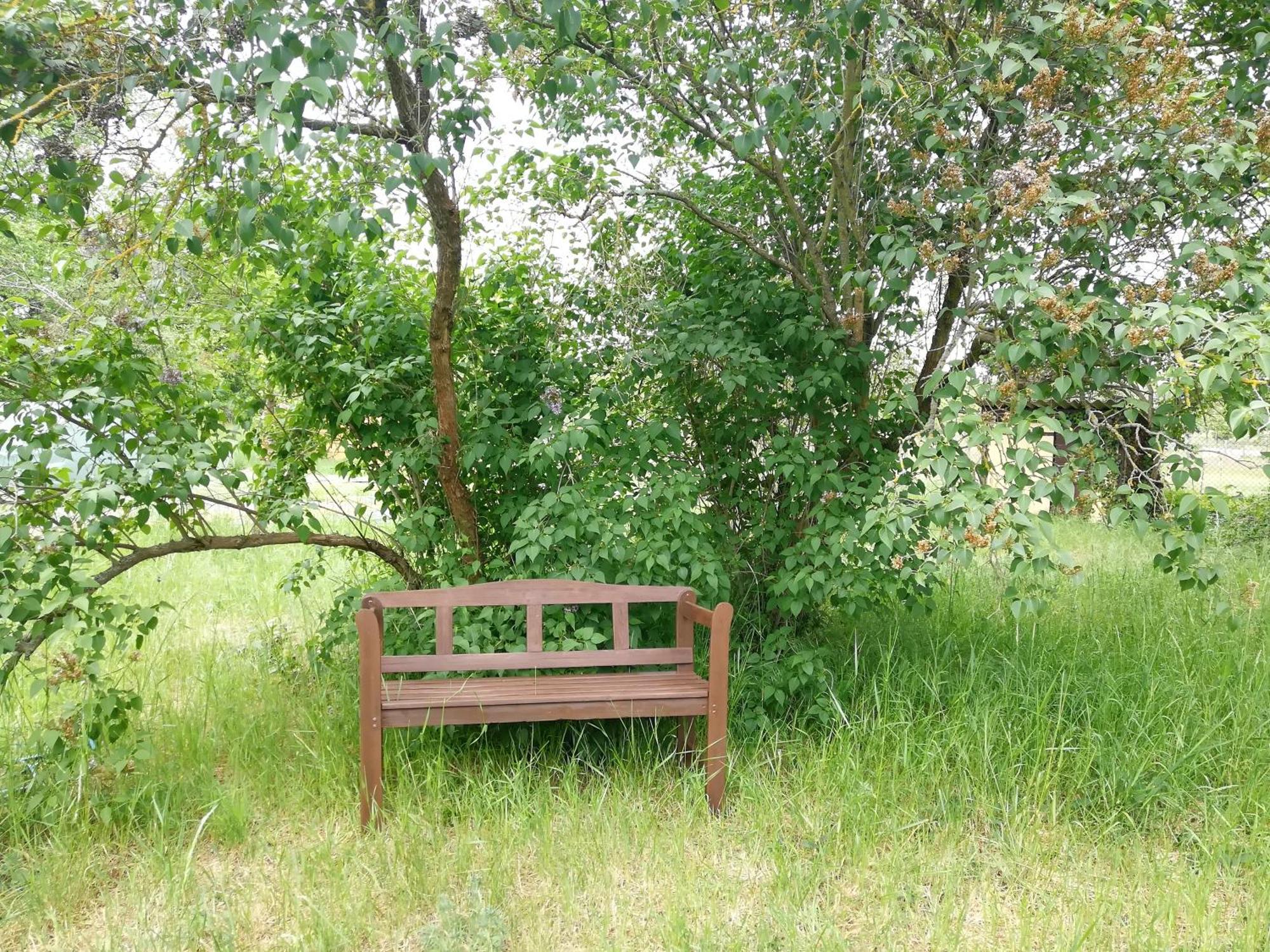 Ehemalige Bibliothek Apartment Fuer 2 Mit Kueche Kamin Netflix Parken Und Hofladen Steinhofel 외부 사진